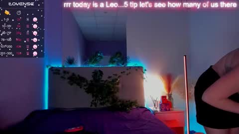 BunnyShows online show from 10/19/25, 05:57