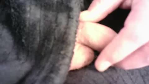 Hamish online show from 03/16/26, 07:29