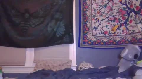 lilly online show from 02/06/25, 06:40