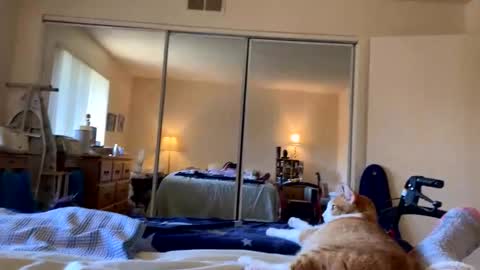 busty_2008 online show from 03/20/26, 12:04