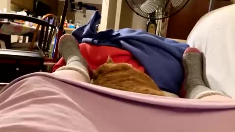 busty_2008 online show from 03/30/26, 03:29