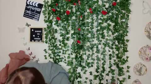 butterfly booty online show from 11/14/25, 10:47