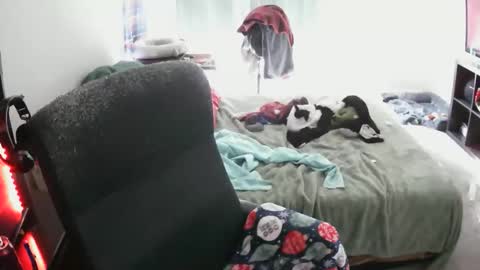 Snapshot of bxbydior chatting on 12/13/25, 07:53 bxbydior online show from 12/13/25, 07:53