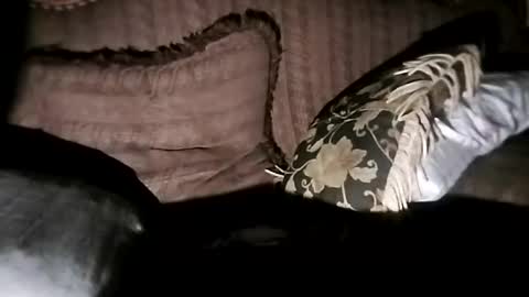 bxpapi69 online show from 11/07/25, 06:46