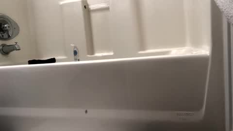 byrd2024 online show from 02/15/25, 10:55