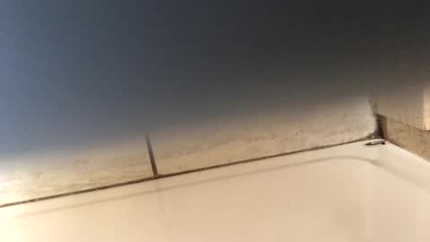 byrd2024 online show from 03/09/25, 11:56