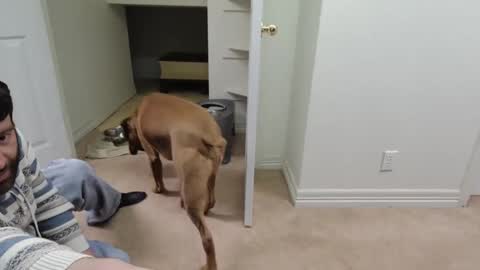 Snapshot of c2cmee chatting on 12/26/24, 09:55 c2cmee online show from 12/26/24, 09:55