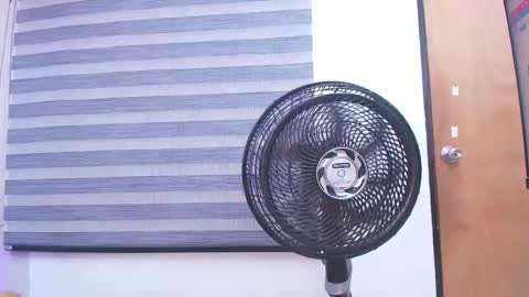 Snapshot of c_fox_ chatting on 02/19/25, 03:06 Carolina online show from 02/19/25, 03:06