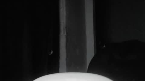 Snapshot of cafinfi1 chatting on 02/18/26, 01:45 cafinfi1 online show from 02/18/26, 01:45