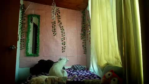 paula online show from 03/25/26, 09:54