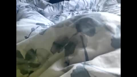 Snapshot of callmedaddyyouslut44 chatting on 03/02/26, 11:50 callmedaddyyouslut44 online show from 03/02/26, 11:50