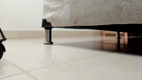 camii  online show from 04/13/26, 11:43