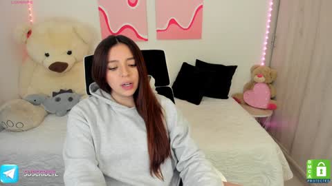 Snapshot of camila_ec2 chatting on 12/27/24, 09:22 C A M I online show from 12/27/24, 09:22