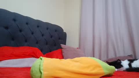 Snapshot of camilabrown23 chatting on 02/09/25, 09:26 Camila Browm online show from 02/09/25, 09:26