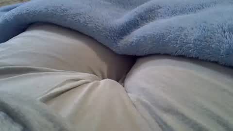 Snapshot of camilaperes69 chatting on 10/31/25, 05:14 flash 50 tokens BIG CLIT tits pussy. masturbation big clit 150 tokens fingers inside pussy 1000 tk pump big clit 300 tk online show from 10/31/25, 05:14