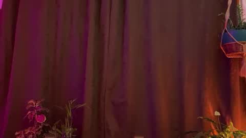  Camille   online show from 03/31/26, 01:07