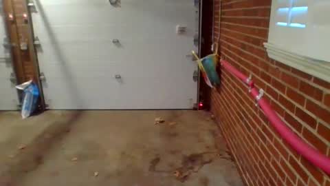 cammyman6900 online show from 12/09/24, 01:34