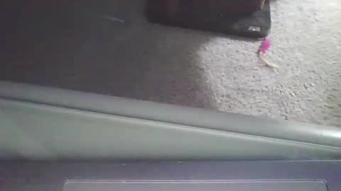 cammyman6900 online show from 09/11/25, 04:01