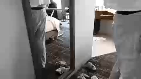 cammyman6900 online show from 03/25/26, 08:59