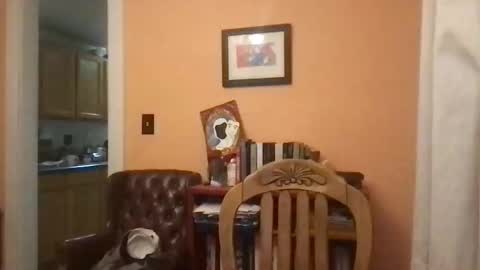 camunity online show from 03/29/26, 03:39