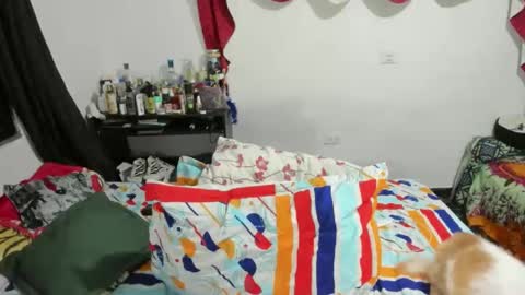 candlex  online show from 02/10/25, 03:35