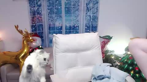 Snapshot of candy8998 chatting on 12/16/24, 12:16 candy8998 online show from 12/16/24, 12:16