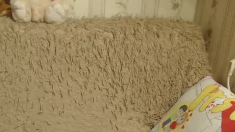 say meow and send tips  online show from 01/19/25, 03:53