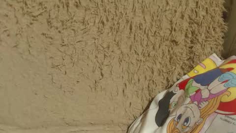 say meow and send tip  online show from 02/13/25, 09:06