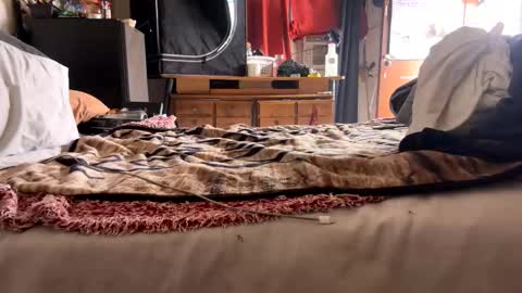 Snapshot of capacon69 chatting on 11/28/25, 08:11 Bbc always ready balls insta bmac capone online show from 11/28/25, 08:11