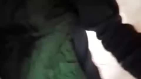 capri34 online show from 09/21/25, 07:48