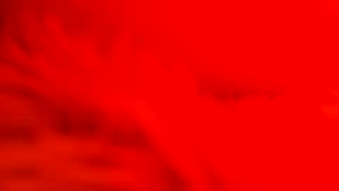 captain_nature online show from 02/26/25, 07:09