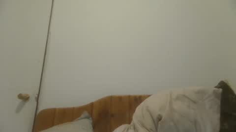 caravibugue online show from 12/07/24, 01:03