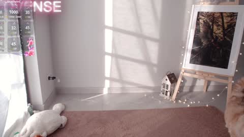 Snapshot of careful_i_bite chatting on 12/31/24, 08:37 NONA follow online show from 12/31/24, 08:37