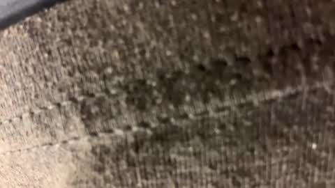 Carl1616 online show from 04/21/26, 01:42