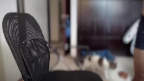 carlcarlinches4 online show from 03/10/25, 02:59