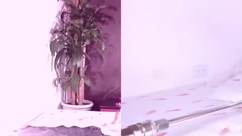 Carol online show from 04/07/26, 11:21