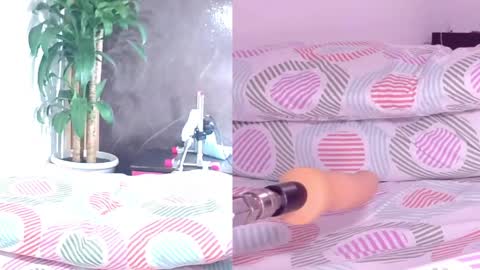 Carol online show from 04/10/26, 11:04