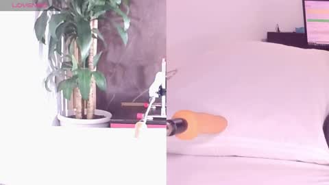 Carol online show from 04/25/26, 11:13