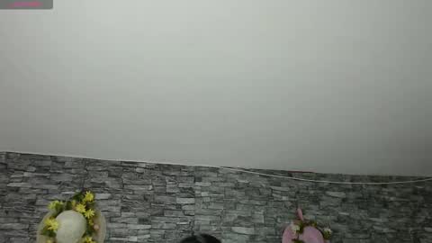 Camelia online show from 11/04/25, 03:16