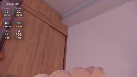 Snapshot of carolinna_ chatting on 02/18/26, 01:45 carolinna_ online show from 02/18/26, 01:45