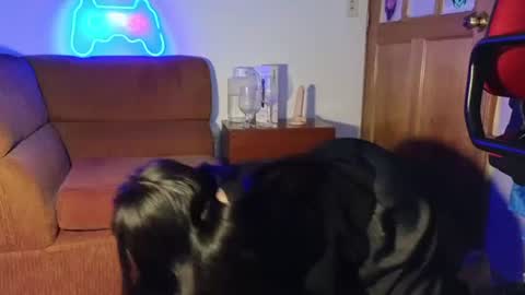 kitty online show from 12/07/24, 05:15