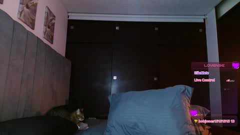 Carolinne online show from 02/27/25, 05:58