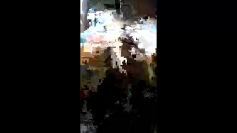 carrilloeverardo219 online show from 03/23/26, 11:31