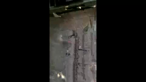 carrilloeverardo219 online show from 05/24/26, 07:13