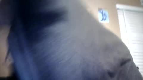 carsonlueders8775 online show from 01/13/25, 01:56