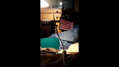 caryb online show from 02/24/26, 08:56