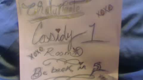 Snapshot of casidy1 chatting on 02/04/25, 06:46 casidy1 online show from 02/04/25, 06:46