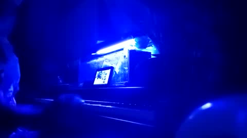 Snapshot of cassandra1369 chatting on 09/25/25, 12:03 cassandra1369 online show from 09/25/25, 12:03