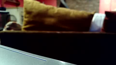 Snapshot of castration40 chatting on 10/17/25, 08:39 castration40 online show from 10/17/25, 08:39