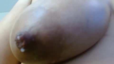 Snapshot of cata__gutierrez_ chatting on 12/29/24, 11:50 Cata online show from 12/29/24, 11:50